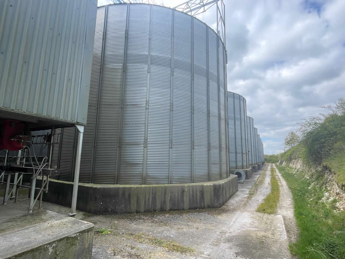 Mega Holdings Uganda Ltd's grain storage silos on site